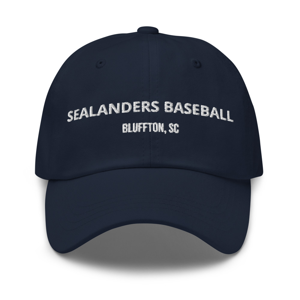 Established Hat — Navy