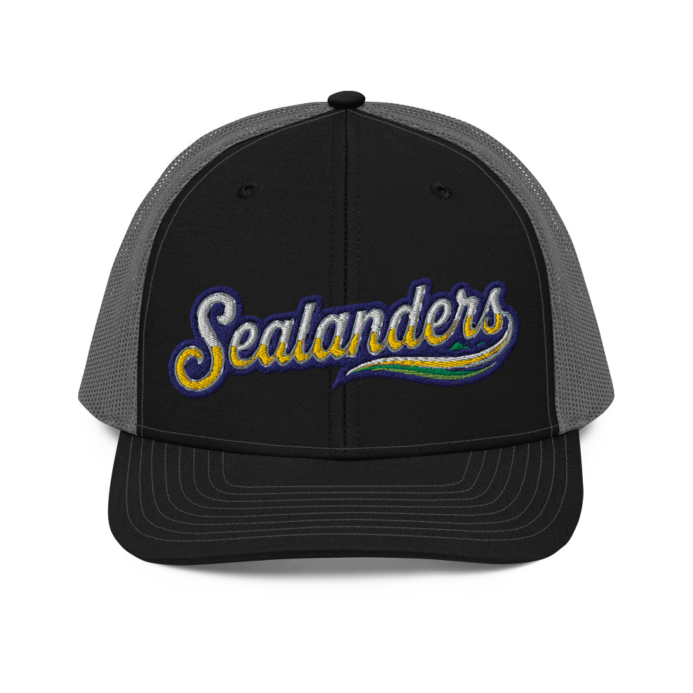 Fully Embroidered Trucker Cap — Black / Charcoal