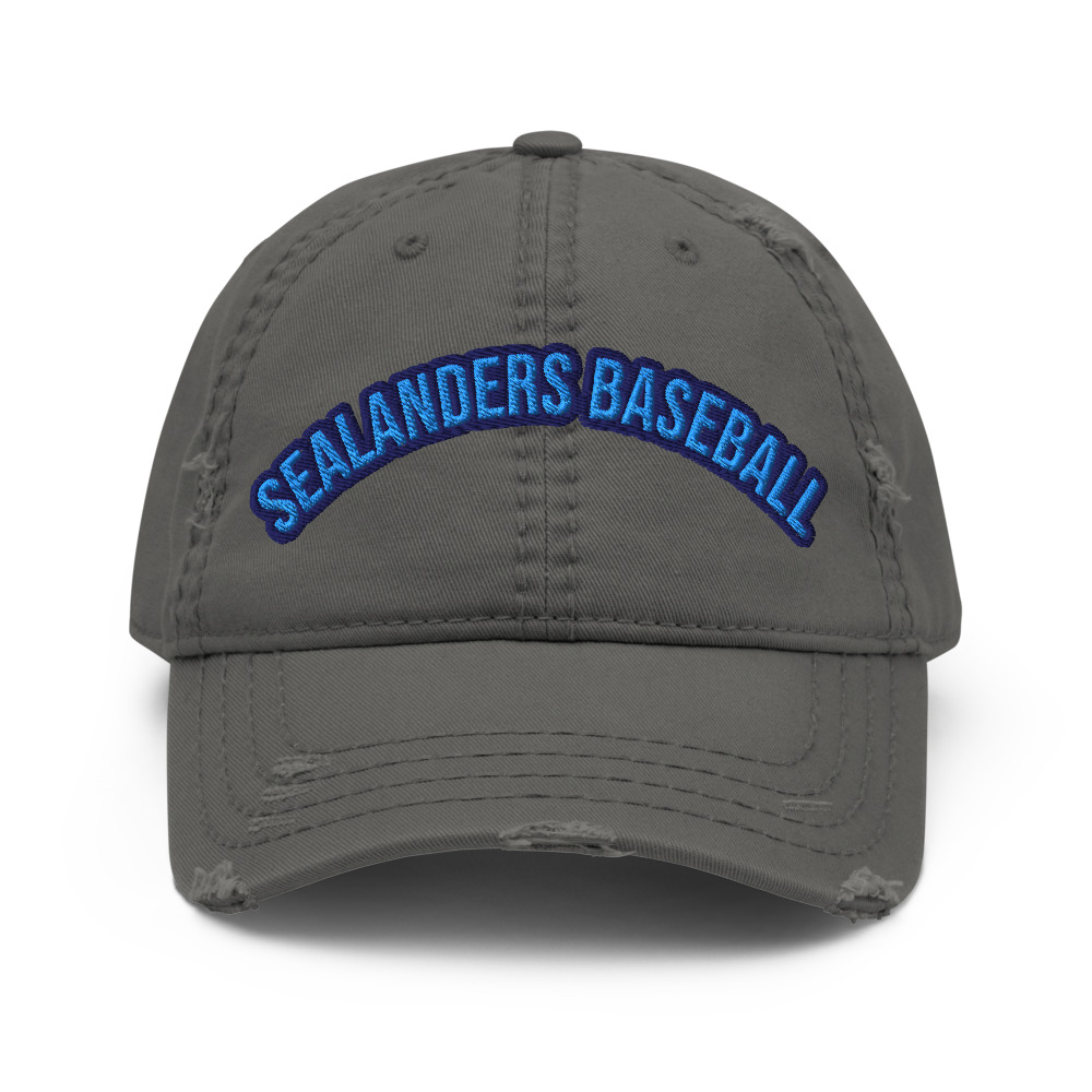 Distressed Dad Hat — Charcoal Grey